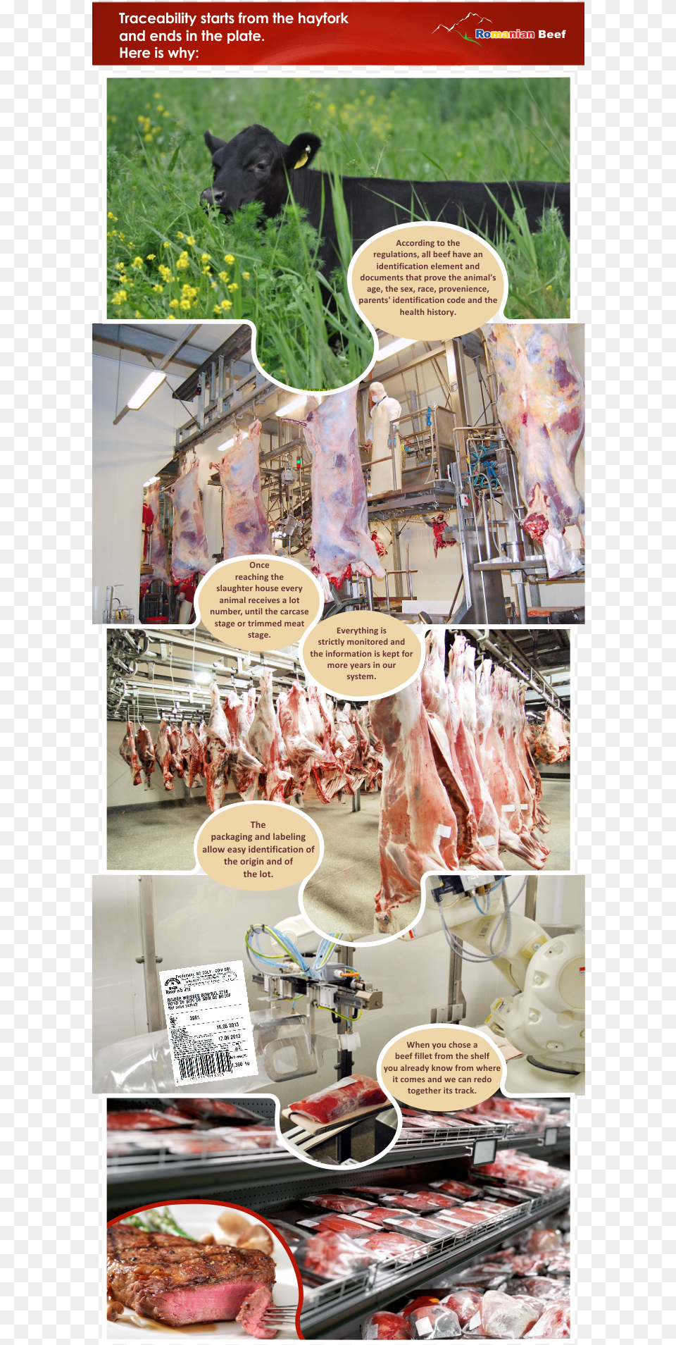 Infografic En Meat, Butcher Shop, Shop, Person, Animal Free Png