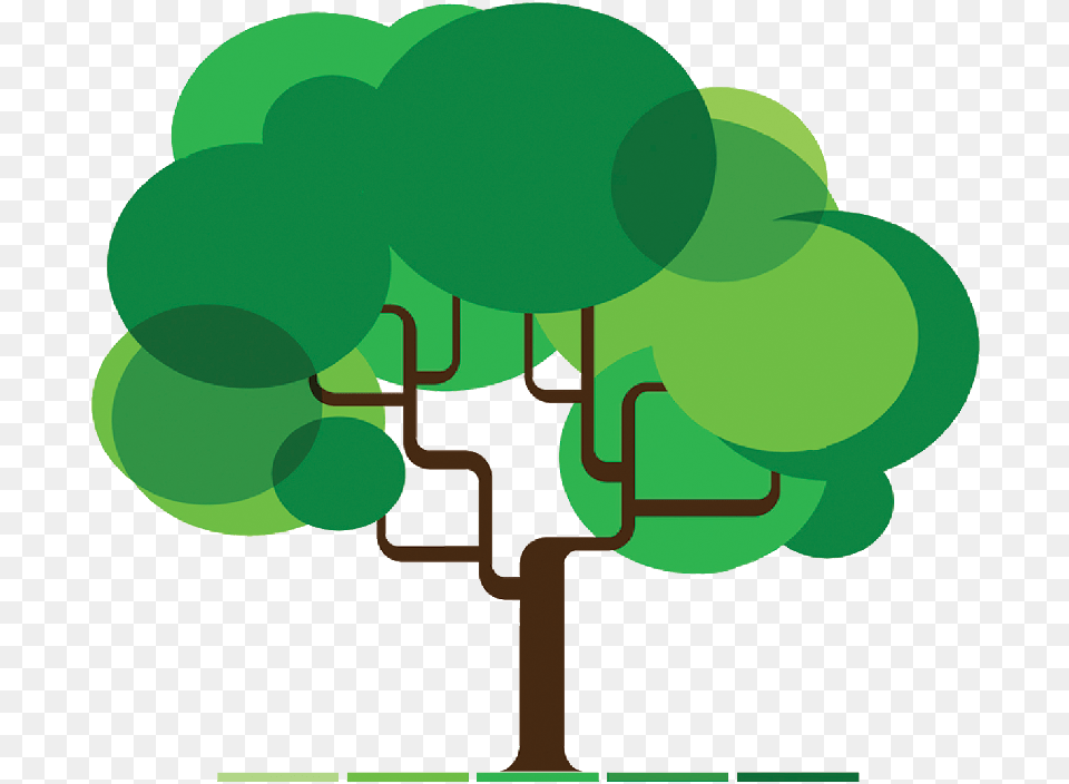 Infographic Tree, Green Png Image