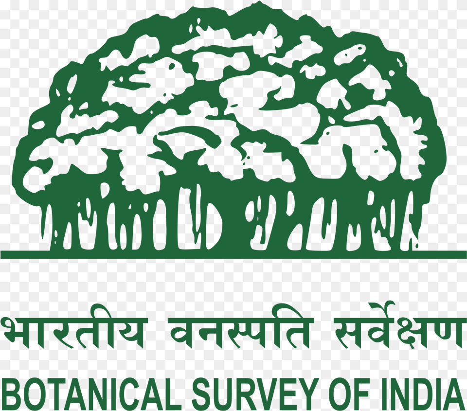 Information About Botanical Survey Of India, Green, Vegetation, Plant, Tree Free Transparent Png