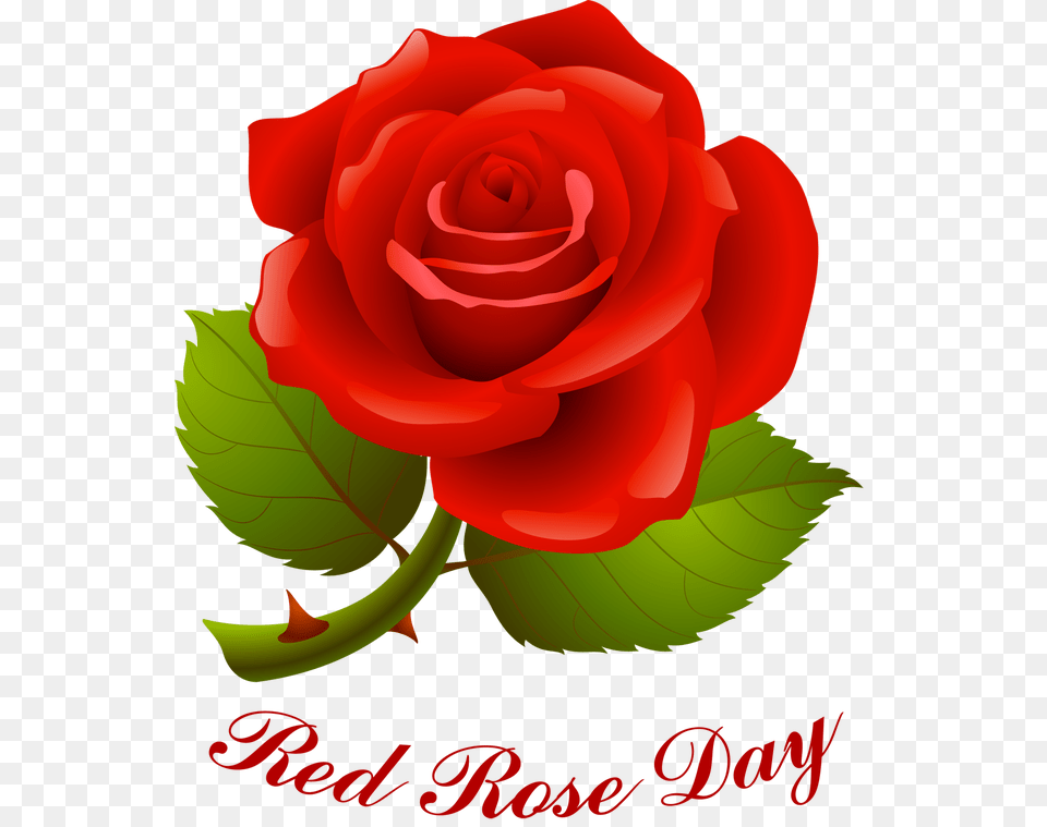 Information And Clip Art For National Red Rose Day Happy Rose Day Image Download, Flower, Plant Free Png