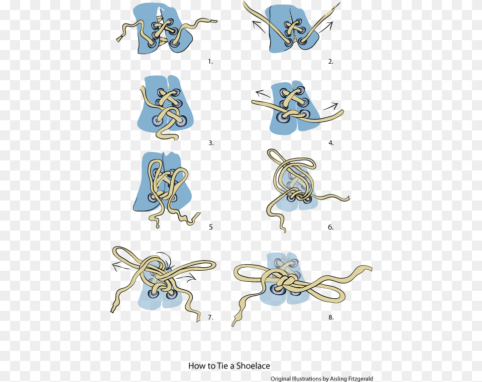 Information Leaflet Illustrating How To Tie A Shoelace Visual Instructions, Knot Free Png Download