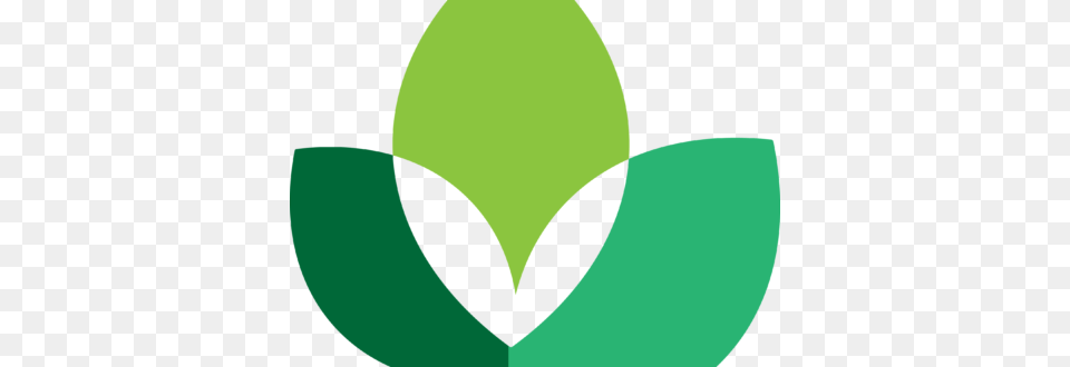 Information On Next Webinar Coming Soon, Green, Leaf, Plant, Logo Png Image