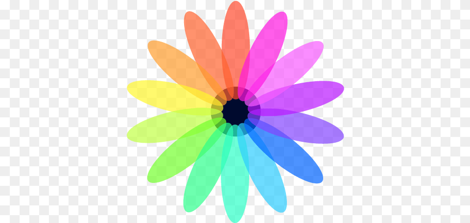 Infrequent Group Ivs Logo Transparent Background Black Flower Transparent, Daisy, Plant, Graphics, Art Free Png Download