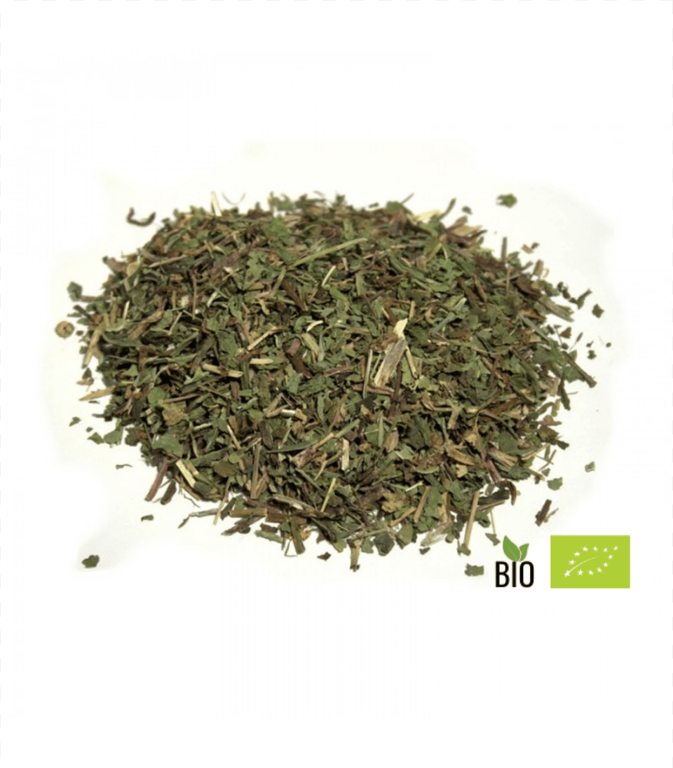 Infusion Diente De Leon Bio, Herbal, Herbs, Plant, Food Png Image