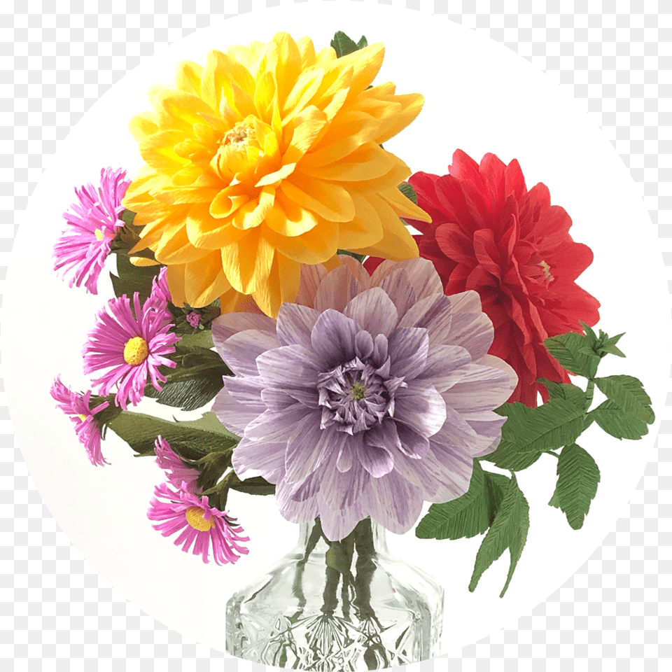 Inga Ilze Peterson Paper Flower, Dahlia, Flower Arrangement, Plant, Flower Bouquet Png