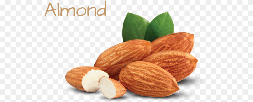 Ingredient Image Template 02 Almond, Food, Grain, Produce, Seed Free Png