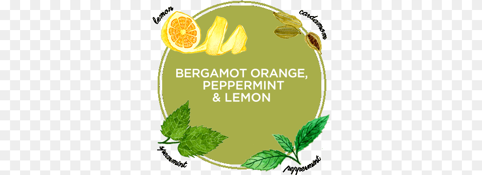 Ingredients Bergamot Orange Peppermint And Lemon Natural Hereafter Blu Ray, Plant, Herbal, Herbs, Leaf Free Png
