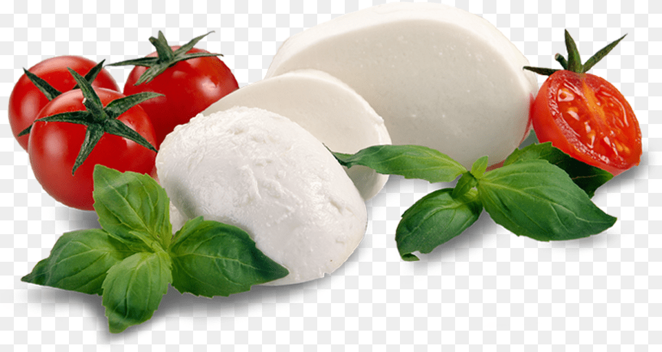 Ingredients Burrata, Plant, Food, Produce, Tomato Free Transparent Png