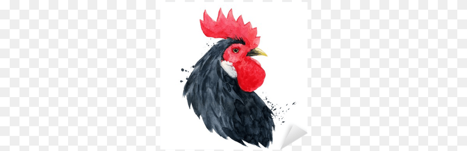 Inh Du Vector, Animal, Bird, Chicken, Fowl Png Image