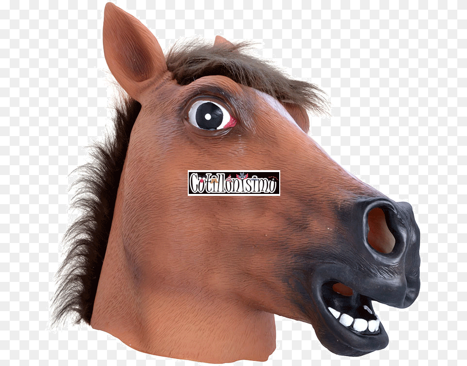 Inicio Horse Mask, Snout, Animal, Colt Horse, Mammal Png Image