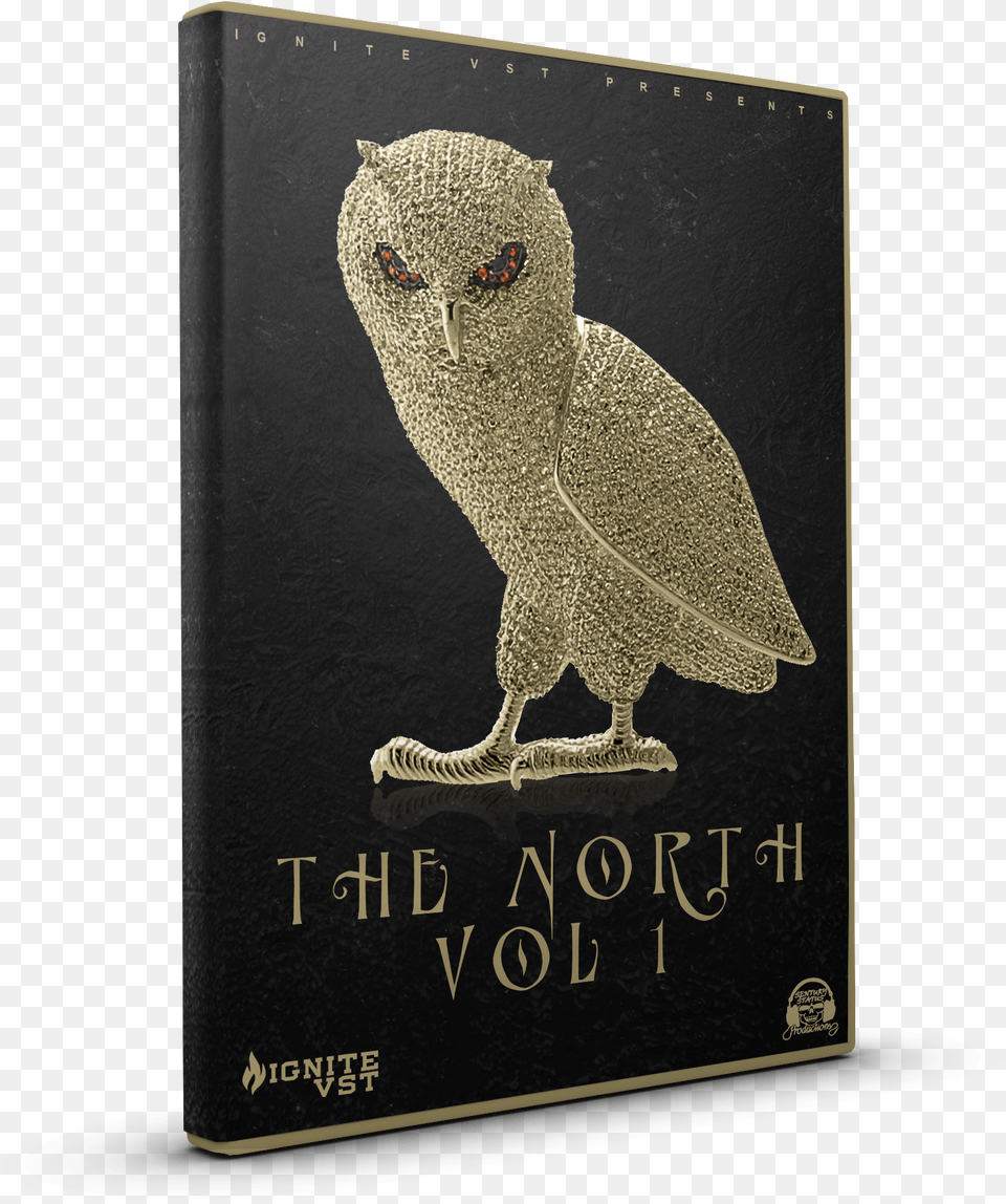 Initial Audio North Volume, Animal, Bird, Owl Free Png