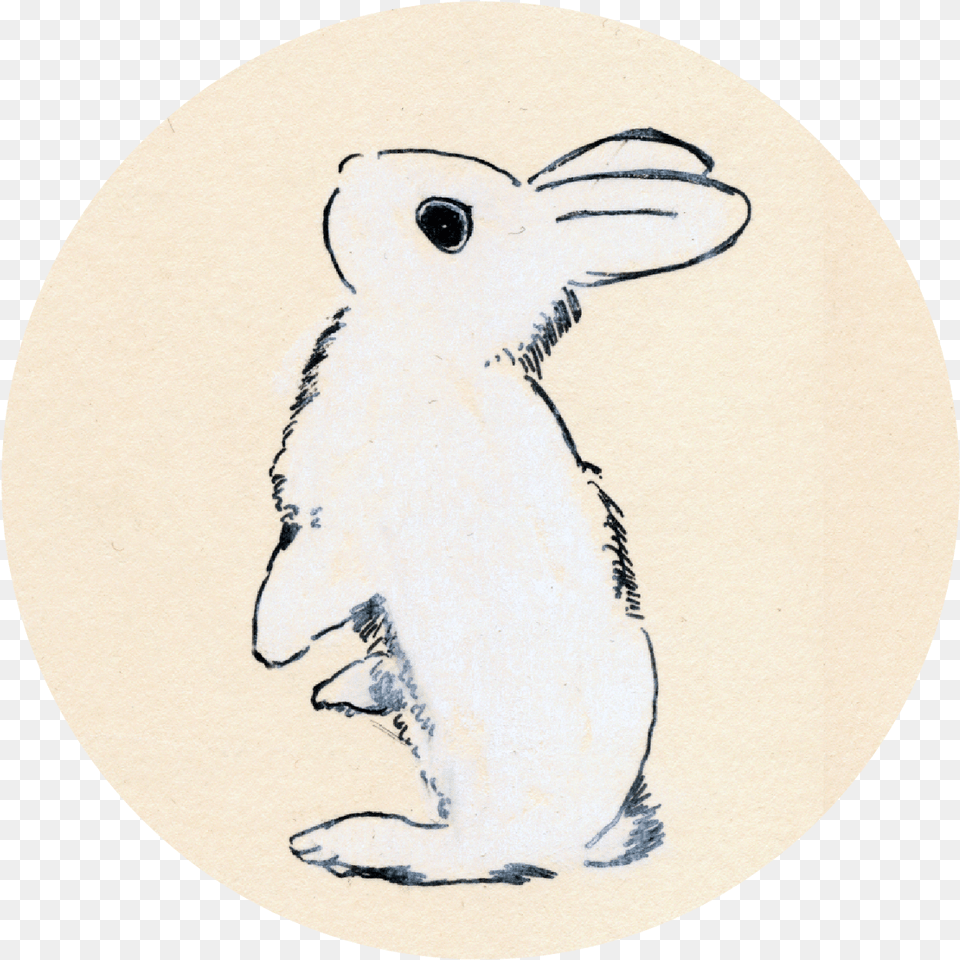 Initial Pen And Chalk Drawing Cartoon, Animal, Hare, Mammal, Rodent Free Transparent Png