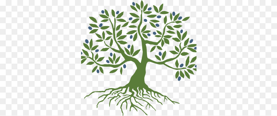 Initiative Transparent Image Olive Tree With Roots, Plant, Root, Pattern, Vegetation Free Png