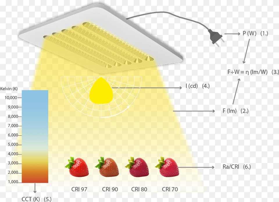 Initile Parameters Om Verlichtingsoplossingen Te Vergelijken Graphic Design, Berry, Food, Fruit, Plant Free Transparent Png