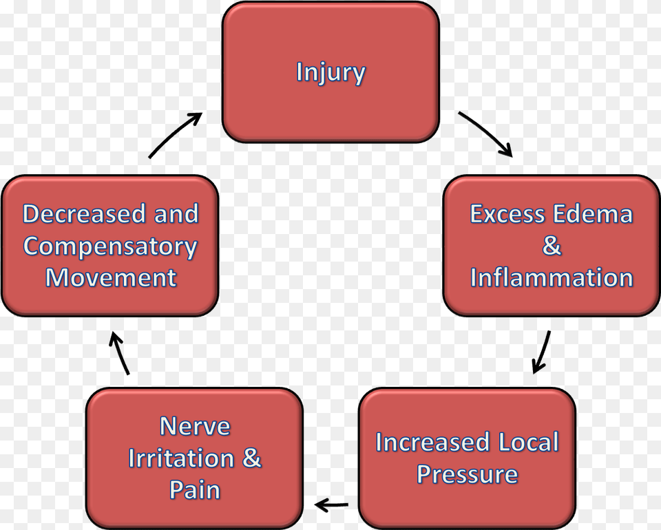 Injury Cycle Benefits Of Icing Injury, Text Free Transparent Png