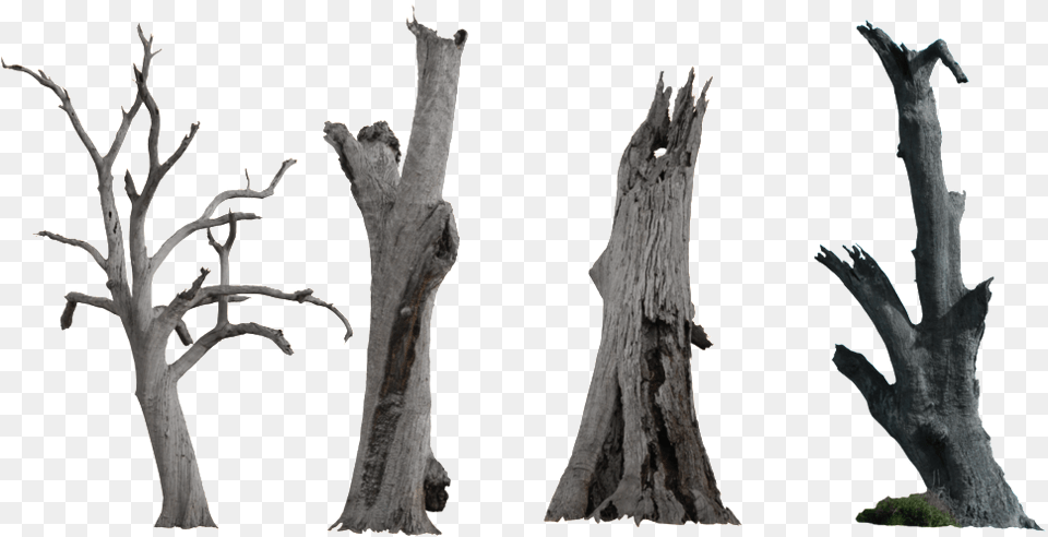 Ink Chinese Style Dry Branches Dry Tree Branch, Plant, Wood, Tree Trunk, Tree Stump Png Image