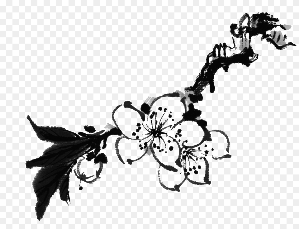 Ink Peach, Plant, Flower, Graphics, Art Png