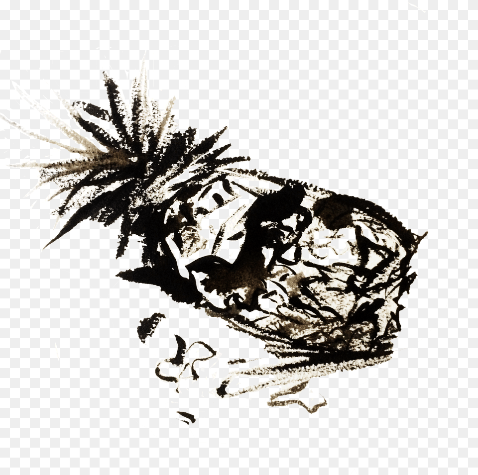 Ink Pineapple A Small Image Inside Of The Zine Illustration, Face, Head, Person, Adult Png