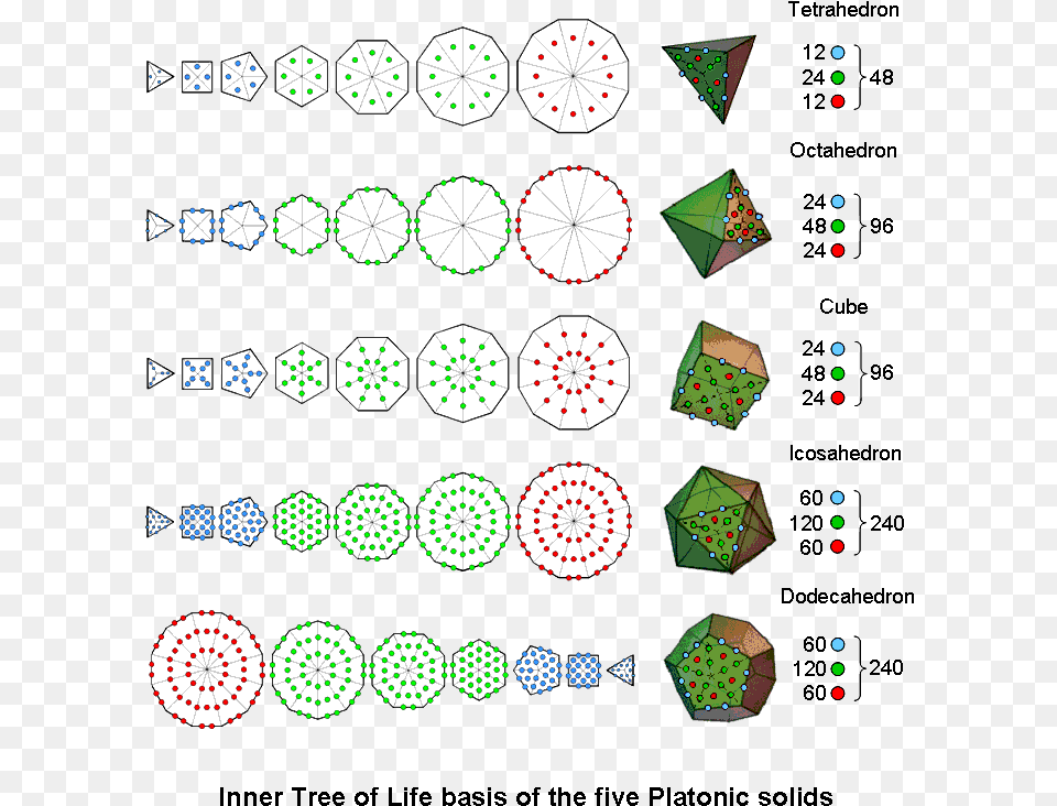 Inner Tree Of Life Basis Of The 5 Platonic Solids Circle, Art, Paper Free Transparent Png