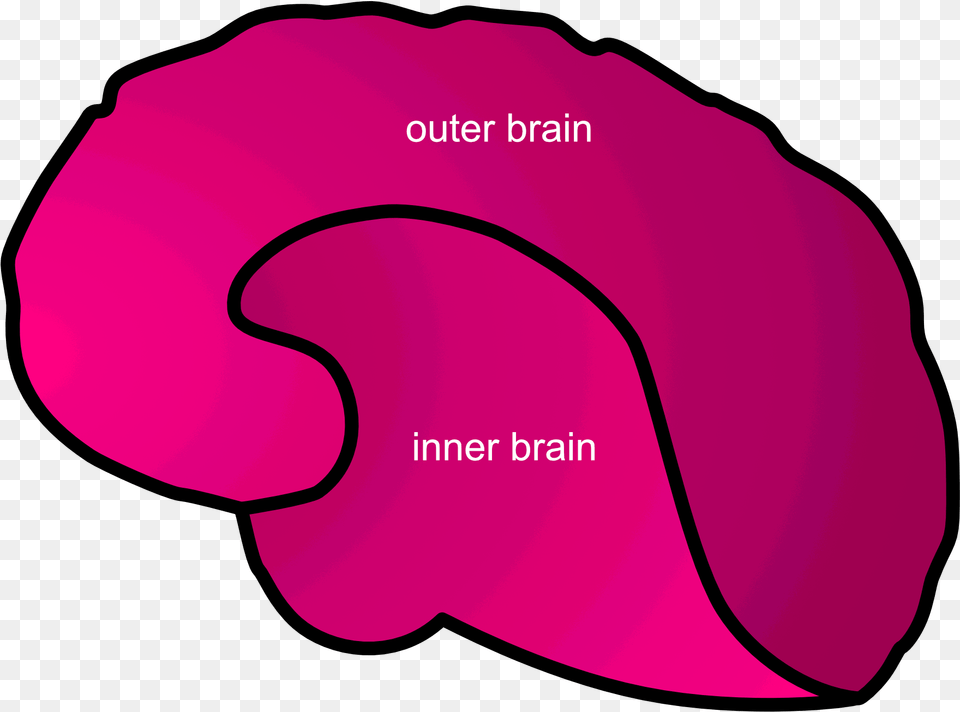 Inner Vs Outer Brain Free Png