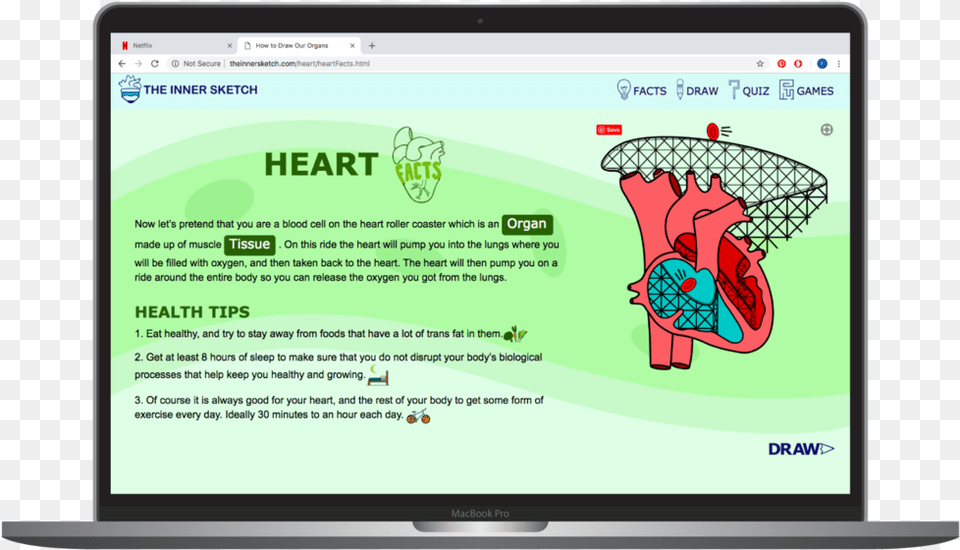 Innner Sketch Heart Facts, File, Computer, Electronics, Computer Hardware Png Image