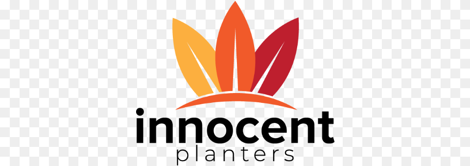Innocent Planters Bringing Character Into The Home Graphic Design, Hat, Clothing, Plant, Flower Free Transparent Png