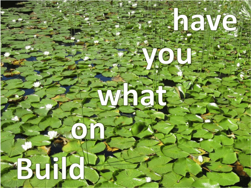 Innovation Built On What You Already Have Yuri, Flower, Pond, Plant, Outdoors Free Png