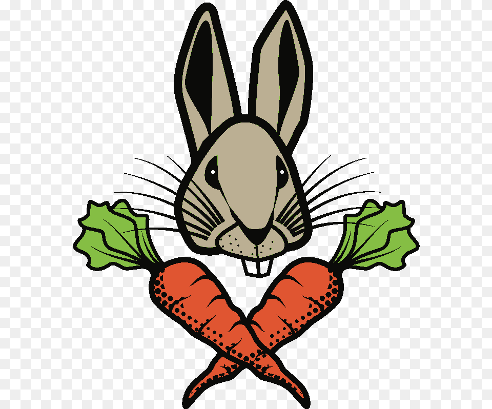 Input Rabbit And Carrots, Carrot, Food, Plant, Produce Free Png