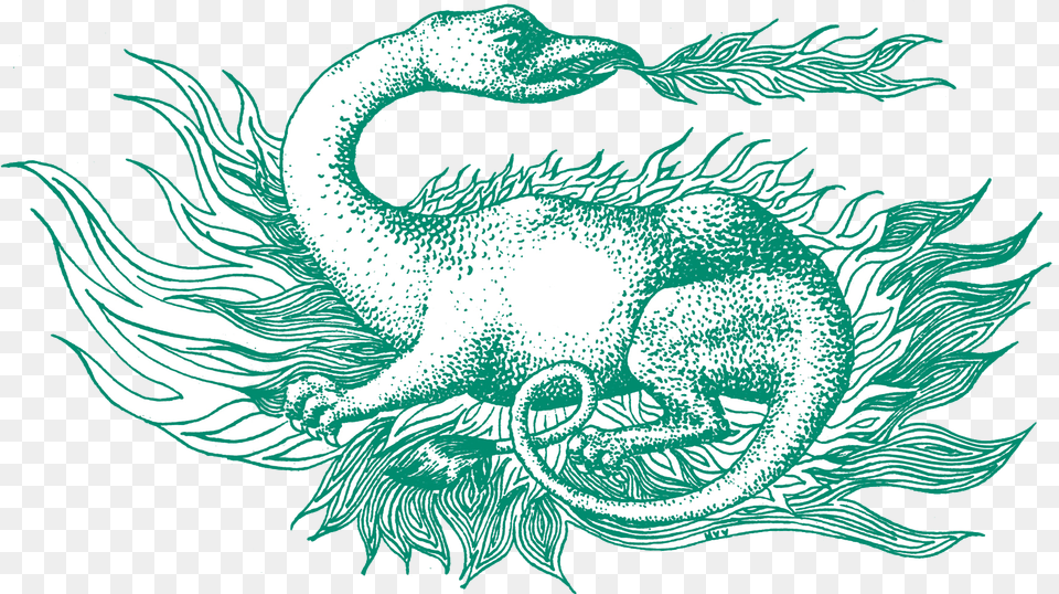 Insead Salamander, Animal, Dinosaur, Reptile Free Transparent Png