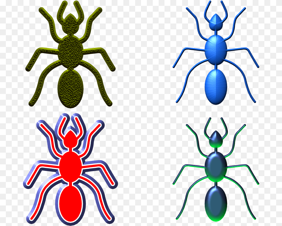 Insect, Animal, Invertebrate, Spider, Ant Free Transparent Png
