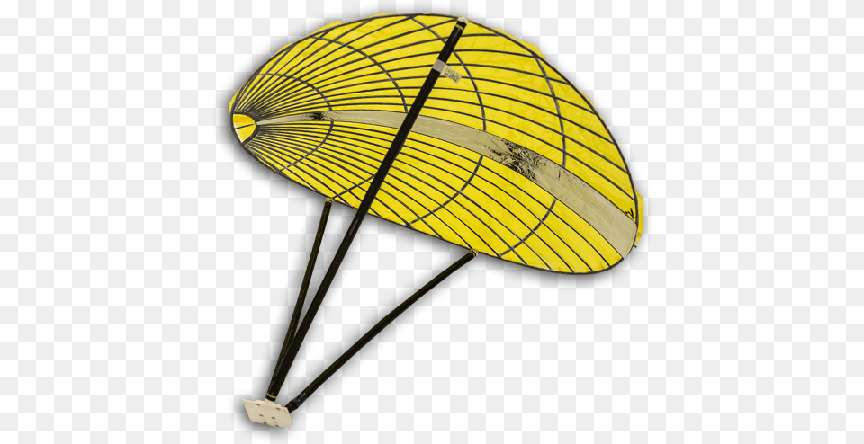 Insect, Parachute, Canopy Free Transparent Png