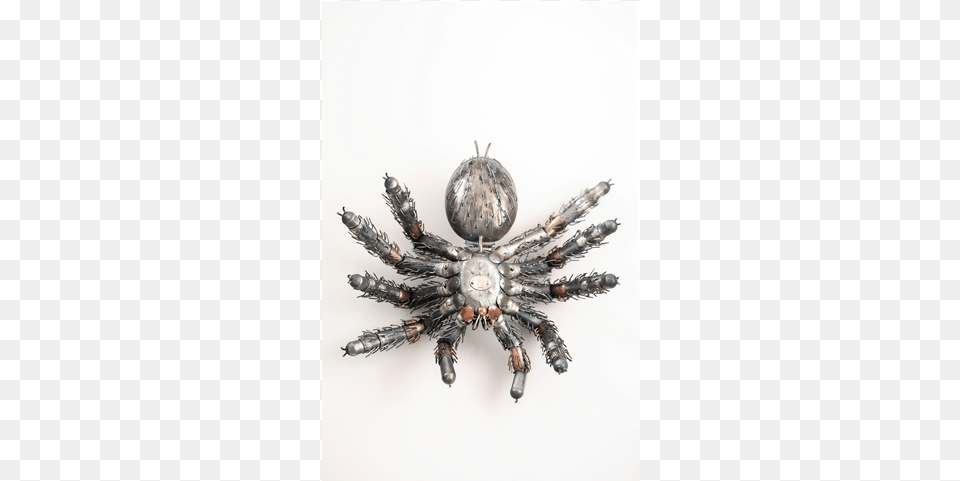 Insect, Accessories, Jewelry, Brooch Free Png Download