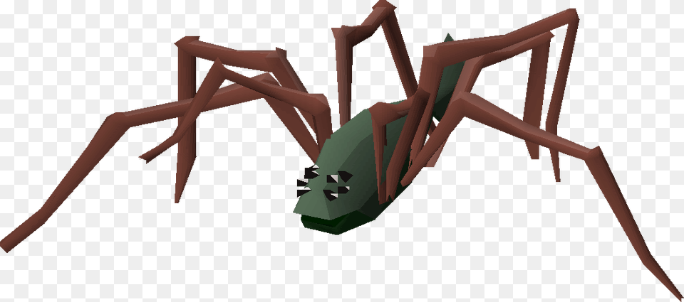 Insect, Animal, Invertebrate, Spider Free Transparent Png