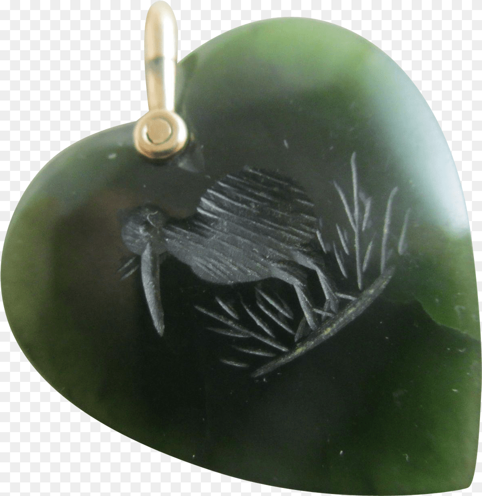 Insect, Accessories, Ornament, Jewelry, Gemstone Png