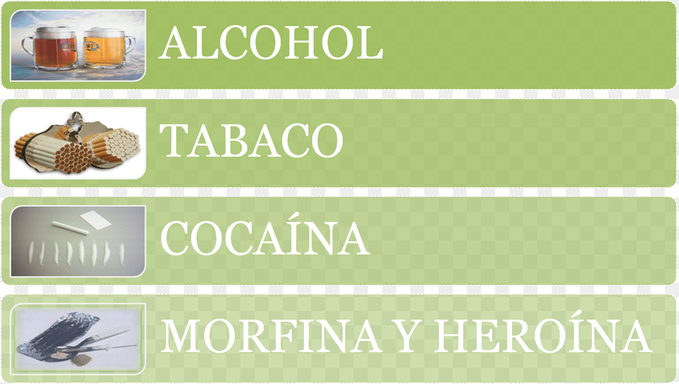 Insect, Food, Honey Free Png