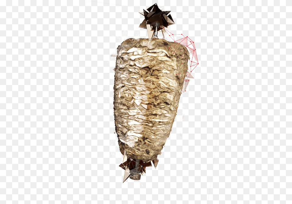 Insect, Adult, Bride, Female, Person Free Png