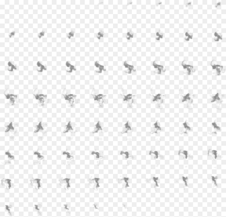 Insect, Text, Alphabet Png