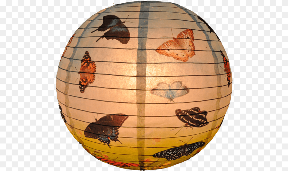 Insect, Lamp, Lampshade, Animal, Bird Free Transparent Png