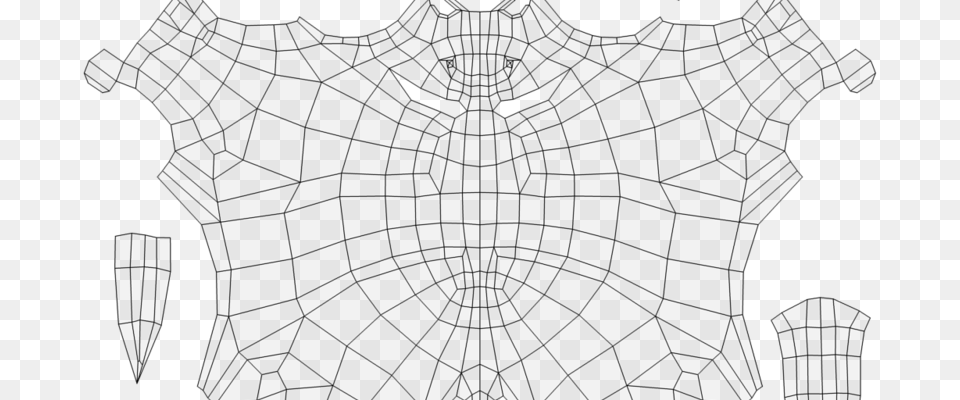 Insect, Spider Web, Person Free Transparent Png