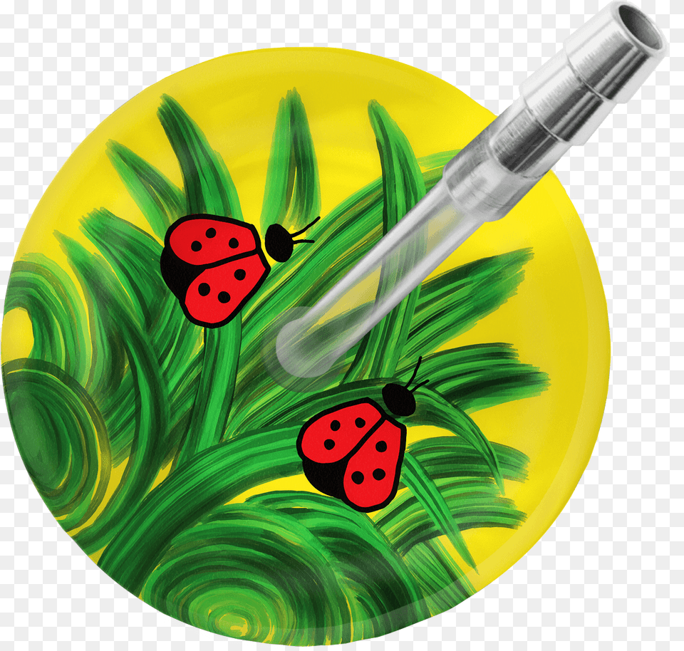 Insect, Plate, Animal, Invertebrate Free Transparent Png