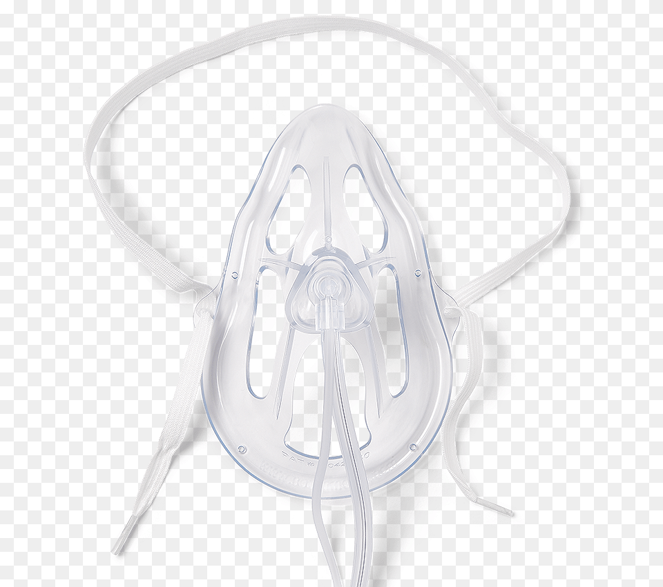 Insect, Reel, Person Png Image