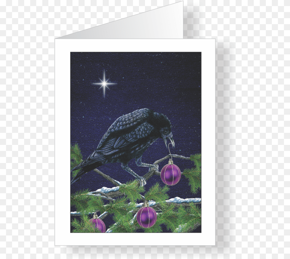 Insect, Purple, Nature, Animal, Bird Png Image