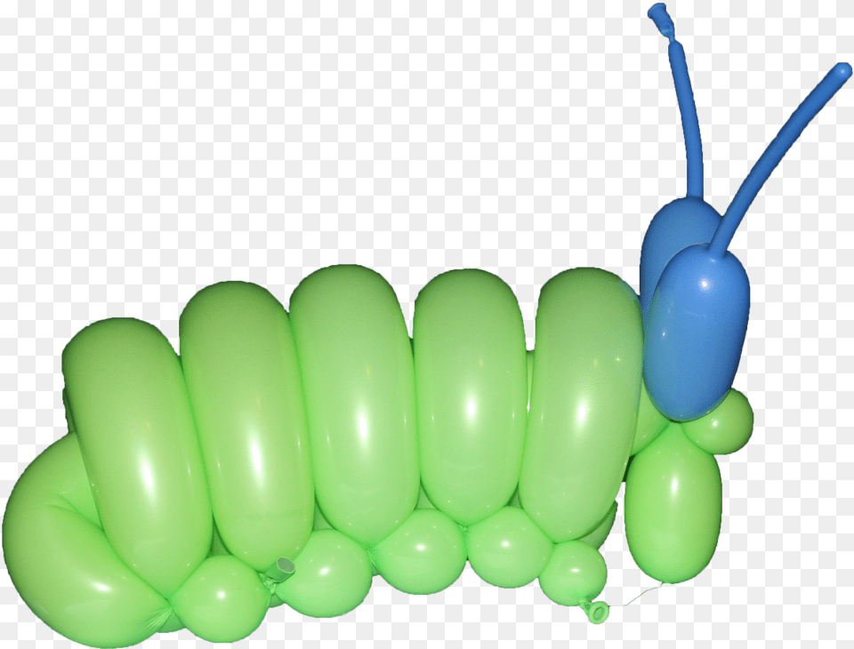 Insect, Balloon, Food, Fruit, Plant Png