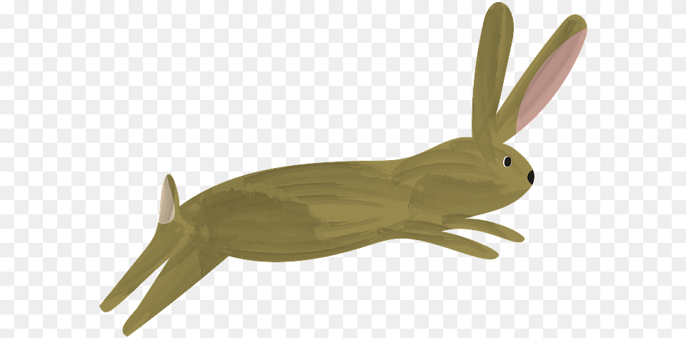 Insect, Animal, Mammal, Rabbit, Hare Free Png Download