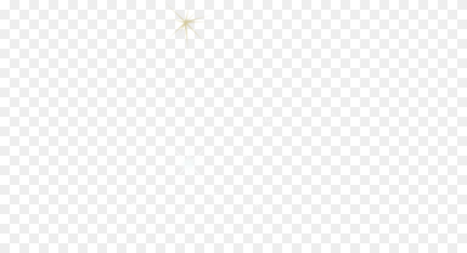 Insect, Nature, Outdoors, Snow, Snowflake Png Image