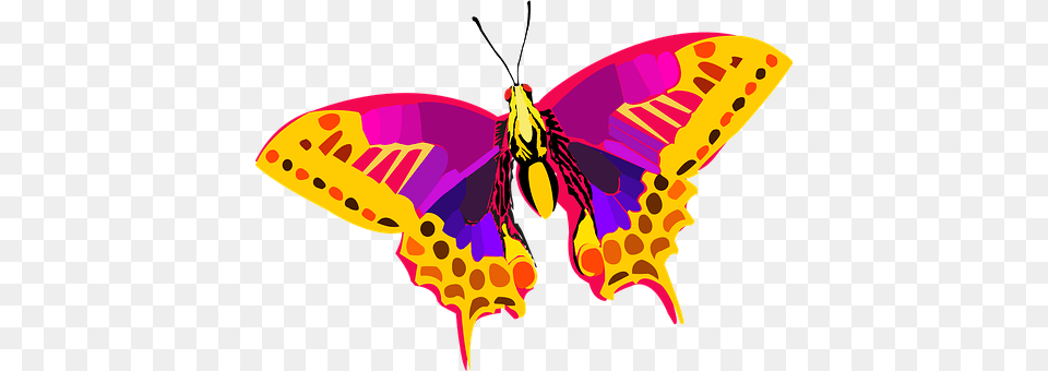 Insect Animal, Butterfly, Invertebrate, Moth Png Image