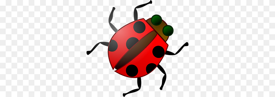 Insect Dynamite, Weapon, Animal Free Transparent Png