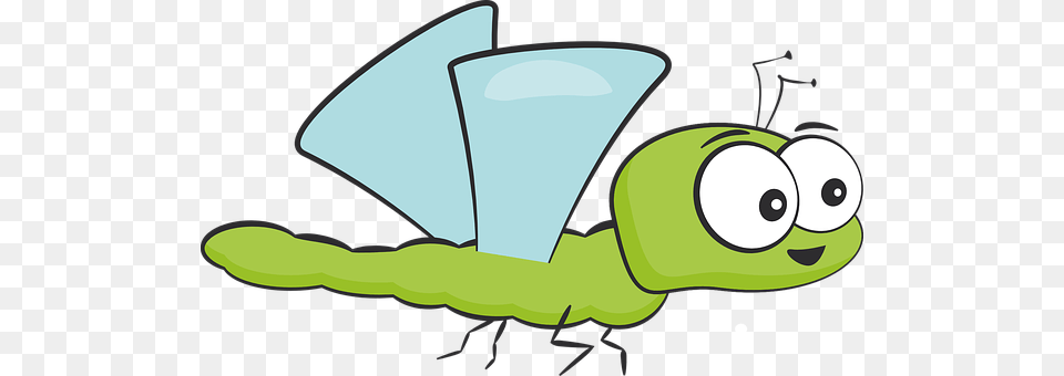 Insect Animal Free Png