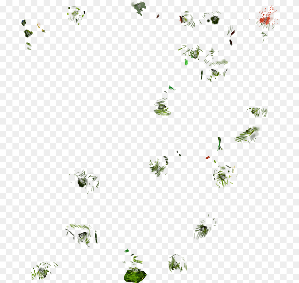 Insect, Green, Flower, Leaf, Plant Png
