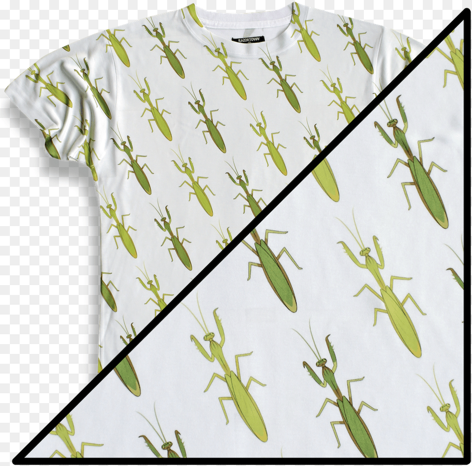 Insect, Clothing, T-shirt, Plant, Animal Png